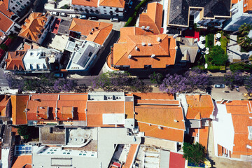 Aerial drone top down view of a street in Cascais, Portugal with purple Jacaranda tree leaves...