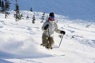 Fototapeta na wymiar A skier descends a trail on Whistler Mountain.