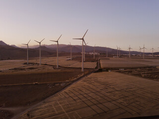 wind turbines power plant at sunset, green energy