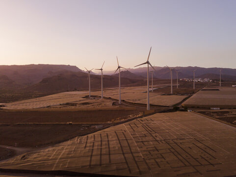 wind turbines power plant at sunset, electricity generation
