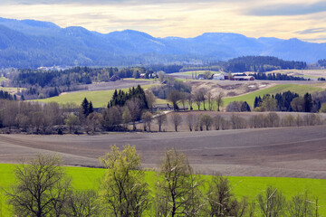 Spring in the agricultural area Bratsberg, Trondheim municipality, Norway - obrazy, fototapety, plakaty