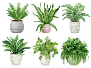 Home indoor plants in pots Collection in cartoon style illustration. set isolated on white background. generative ai