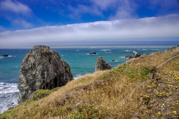 Bodega Bay Fence Post Coastline