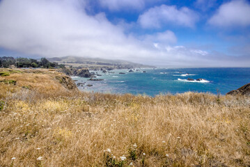 Bodega Bay Fence Post Coastline
