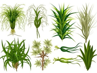 Fototapeta premium set of different plants Collection in cartoon style illustration. set isolated on white background. generative ai