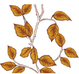 autumn leaves background