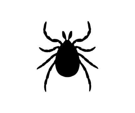 Mite, Tick Silhouette logo design. Dangerous biting insect. Danger of tick bite. Parasite insect, ixodes ricinus, infection carrier, bloodsucker, vector design and illustration.
