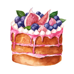 Biscuit cake with fruits and berries. watercolor hand drawn illustration