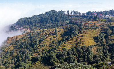 Himalaya seen from near bandipur with fields in foreground