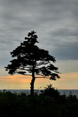 Fototapeta na wymiar Beautiful tranquility of sunset on Breton Island, Nova Scotia, Canada