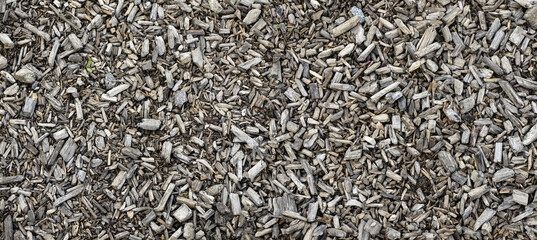 Layer of small pieces of wood