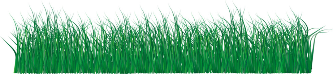 Fototapeta na wymiar Big Grass Borders Set, Vector Illustration