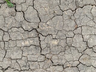 Earth cracked from drought and lack of rain. Concept: natural disasters, global warming. Cracks in...