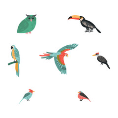 A set of tropical bird icons. Black silhouette. Vector on white background