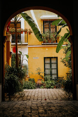 Archway tunnel with lush vegetation in Indoor patio, Andalusia