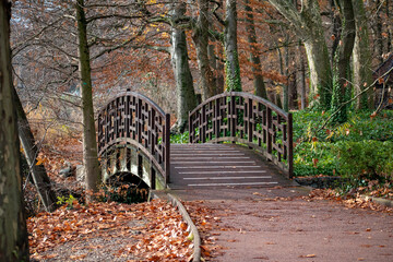 bridge in autumn