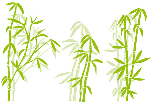 Bamboo tree silhouettes, vector
