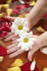 Obraz na płótnie Canvas Aromatherapy children hand bath, rose petal, daisy flower