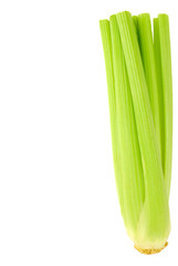 green celery