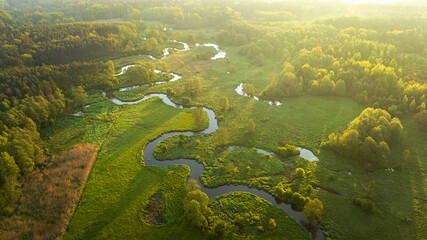 Beautiful spring morning over the forest and river - drone aerial view - obrazy, fototapety, plakaty