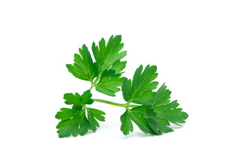  Parsley leaf isolated on white.