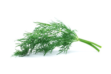 fresh dill on white background