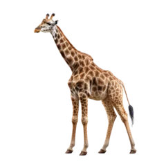 Gordijnen giraffe on a transparant background, PNG, Generative Ai © purich