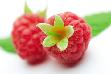 Two raspberries with green leaves on white background
