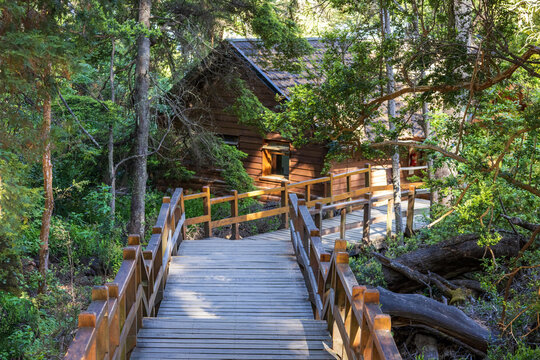 Argentina, Patagonia, Bariloche Island Isla Victoria and Arrayanes forest scenic landscapes.