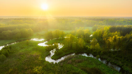 Beautiful spring morning over the forest and river - drone aerial view