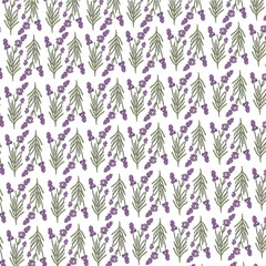 Patrón de flor de lavanda ilustrada digitalmente png fondo transparente y vector