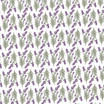 Patr&oacute;n de flor de lavanda ilustrada digitalmente png fondo transparente y vector
