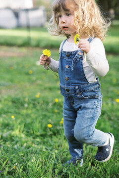 little toddler girl in jean overalls playing outside in spring garden