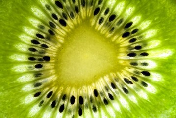 lushes green slice of a kiwi