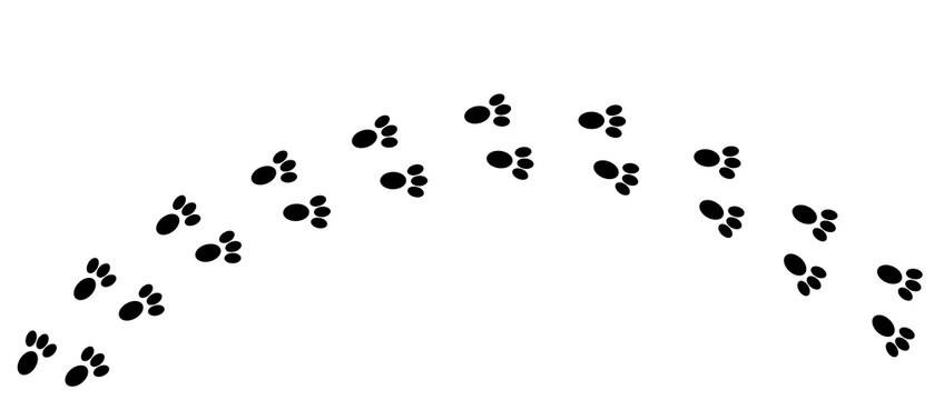 Rabbit footprints. Traces of footsteps of a running or walking hare isolated on a white background. Vector illustration.