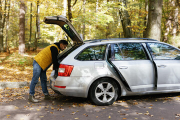 Trunk car nature vehicle stop road 