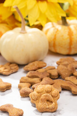 A pile of paw and bone shaped dog treats, pumpkin flavor.  Focus on paw shaped treat in front with background soft.