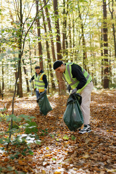 volunteering service group environment  rubbish co operation