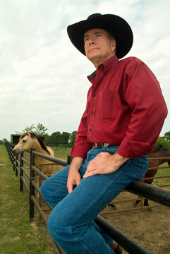 A man wearing a cowboy hat perched on a pipe fence with two horses in the background.