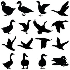  Set of 16 Duck Black Vector Silhouette Designs for Creative Projects
