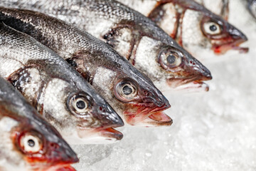Raw fish on ice laid in a row in market, selective focus