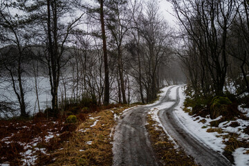 Road into a forest covered by snow and ice