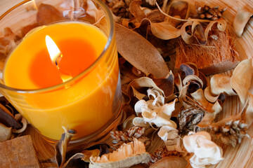 Burning candle and dried plants