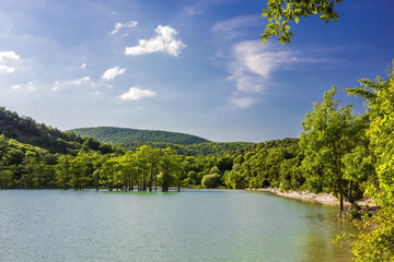 Obraz premium Water cypresses in mountain lake with green water, trees and forest on slopes