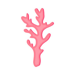 Obraz premium Pink coral. Isolated branch of coral on white background