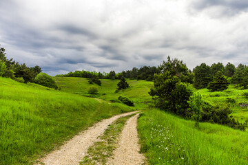Country dirt road among meadows with green grass and wildflowers, cloudy sky