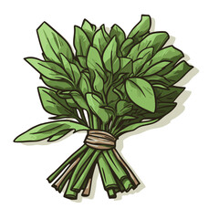 bunch of green herbs bound by twine