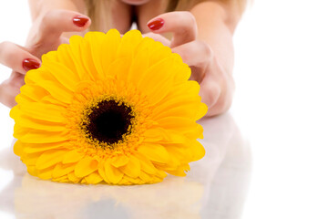 closeup picture of a flower and woman hands