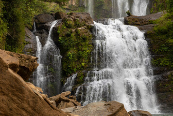 Waterfall in  Nature water Costa Rica in Rainy Season Rainforest 