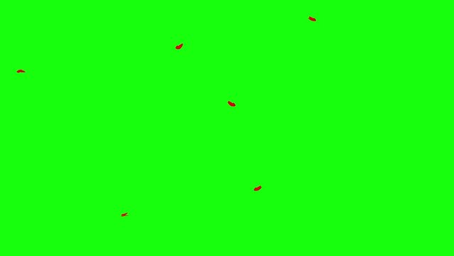 background with butterflies in green screen